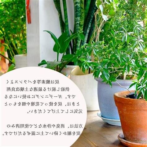 炭 風水